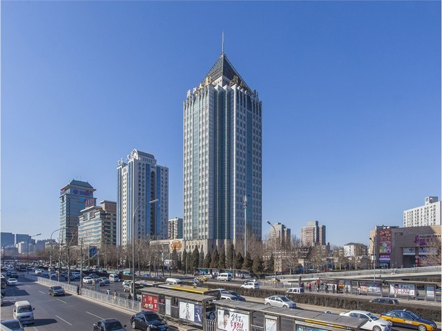 商场仿真草皮批发